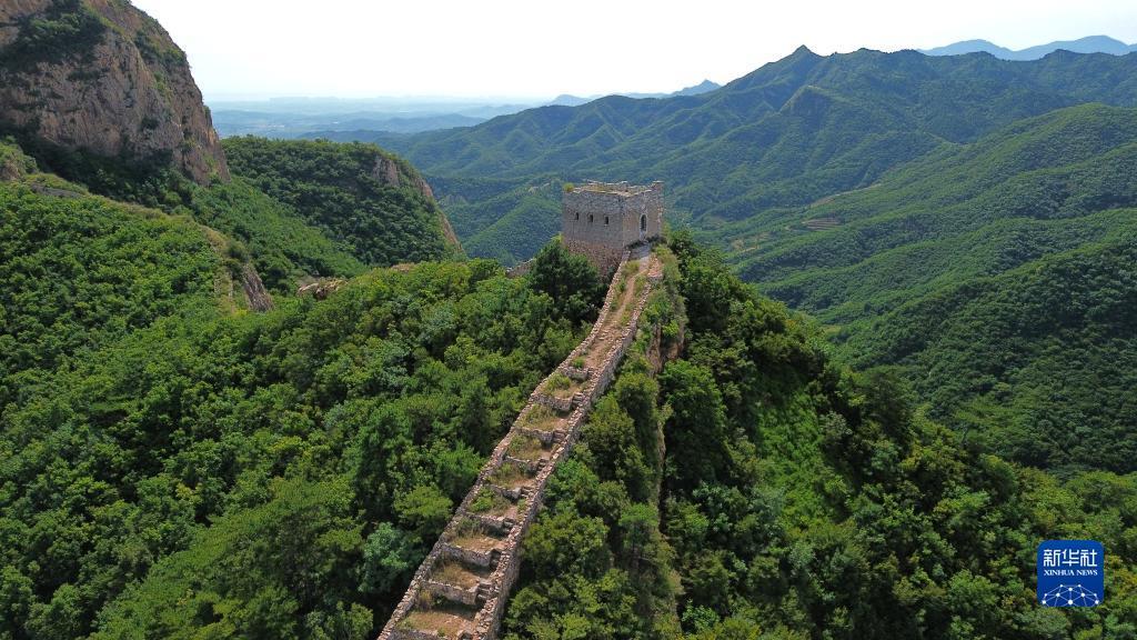 金葫芦888游戏下载